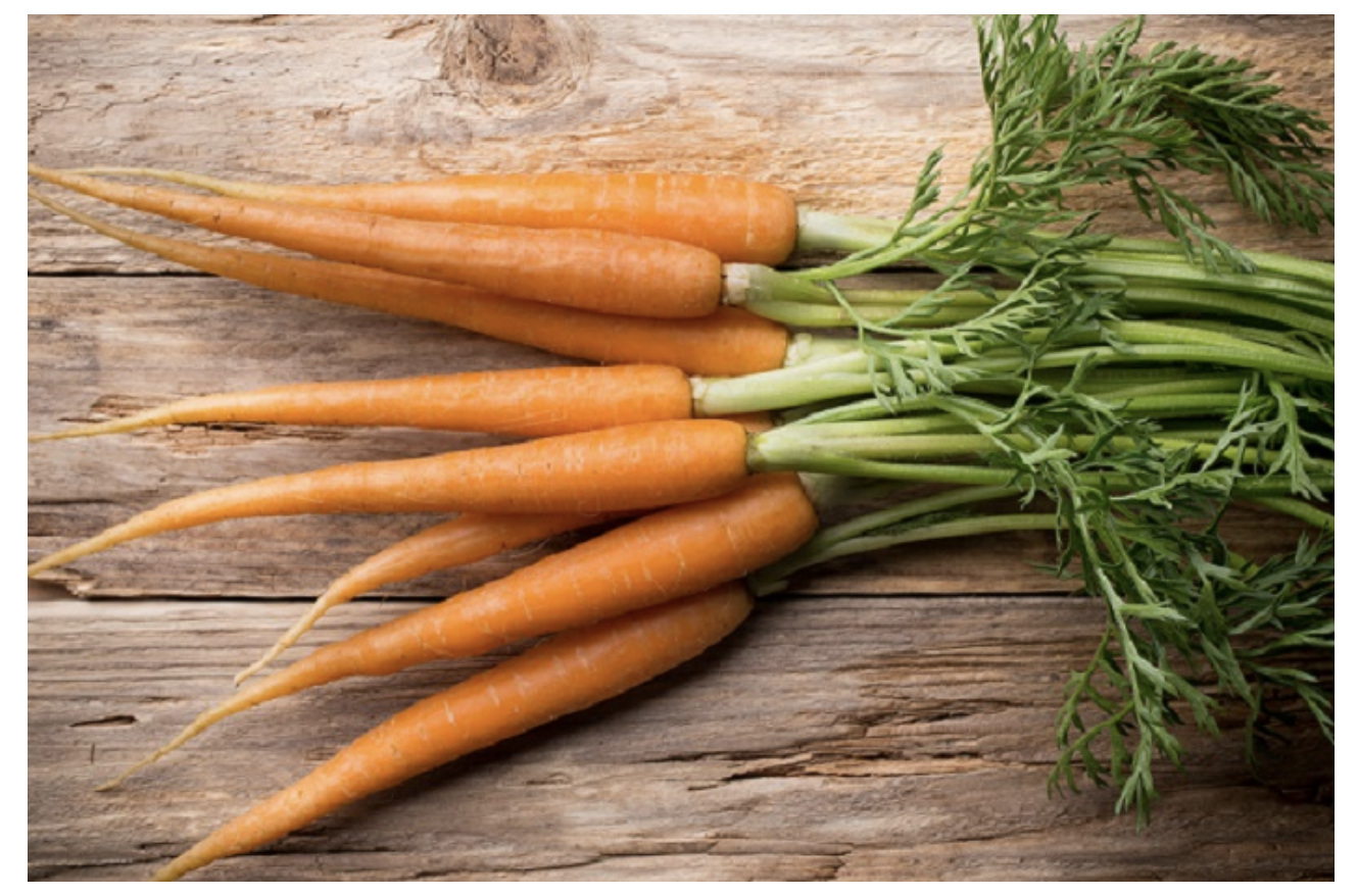 The New Mexico Department of Agriculture is holding three virtual workshops in December in preparation for the Feb. 14 Specialty Crop Block Grant Program proposal deadline. Carrots are considered a specialty crop by the United States Department of Agriculture. (Envato Elements stock photo.)